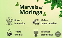 Moringa Leaf Tea